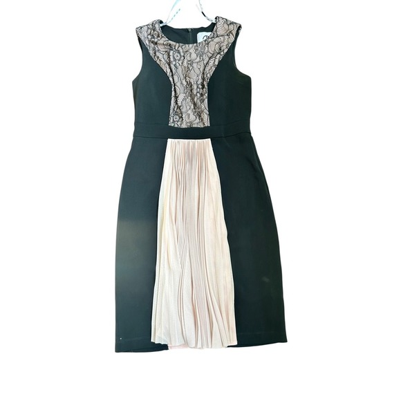 JS Collections Black Pink Lace Pleated Maxi Gown Formal Evening Dress - Picture 6 of 14